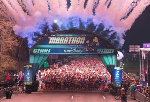 Disney-Marathon_2014