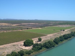 O percurso da prova é feito entre os parreirais e as margens do Velho Chico (Foto: Divulgação Wine Run)